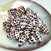 Cone Shell Bangle Bracelet