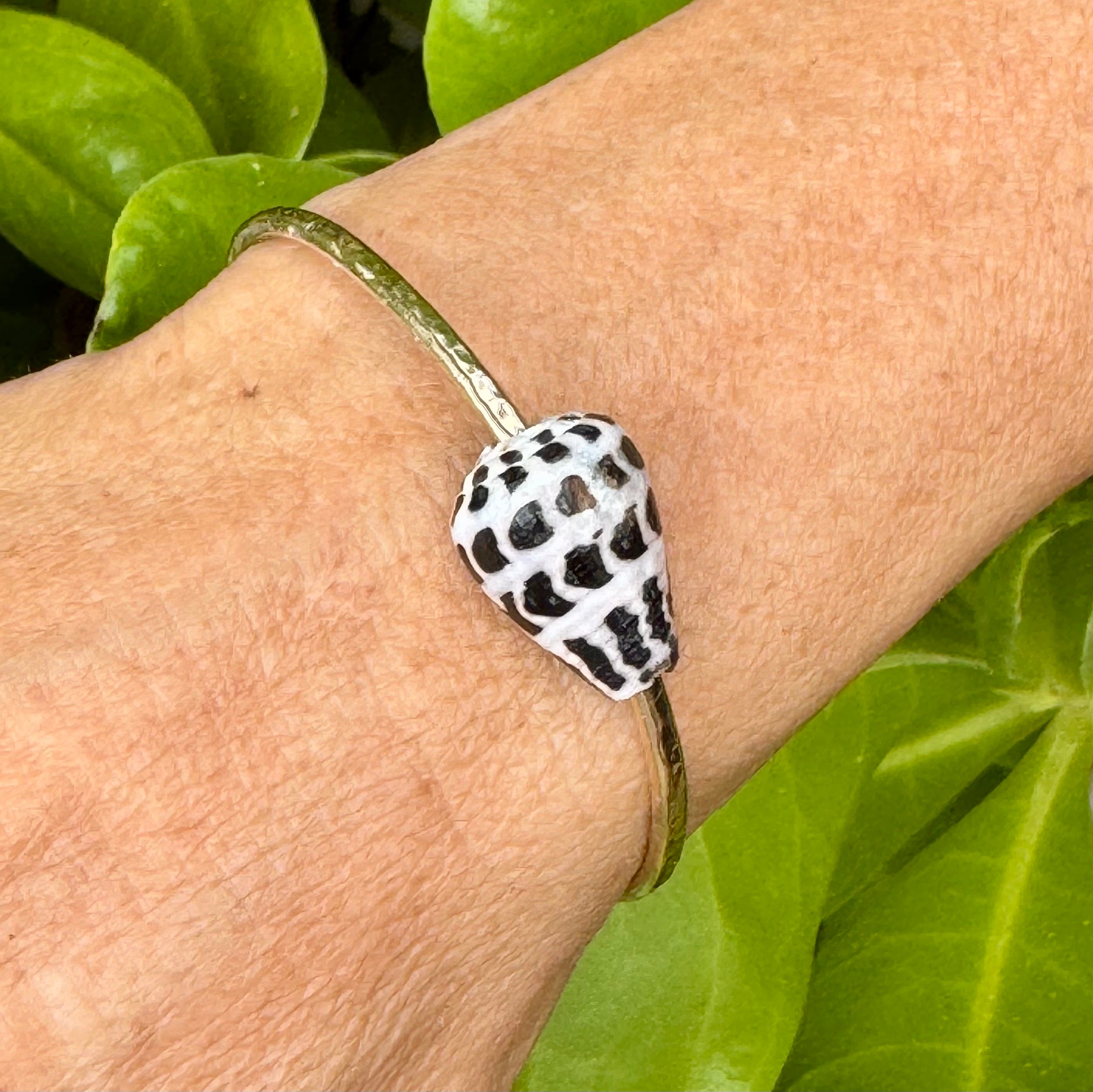 Hebrew Cone Shell Bangle Bracelet