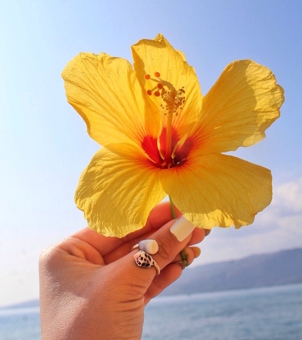 Hawaiian Cone Shell Ring - Ready to ship