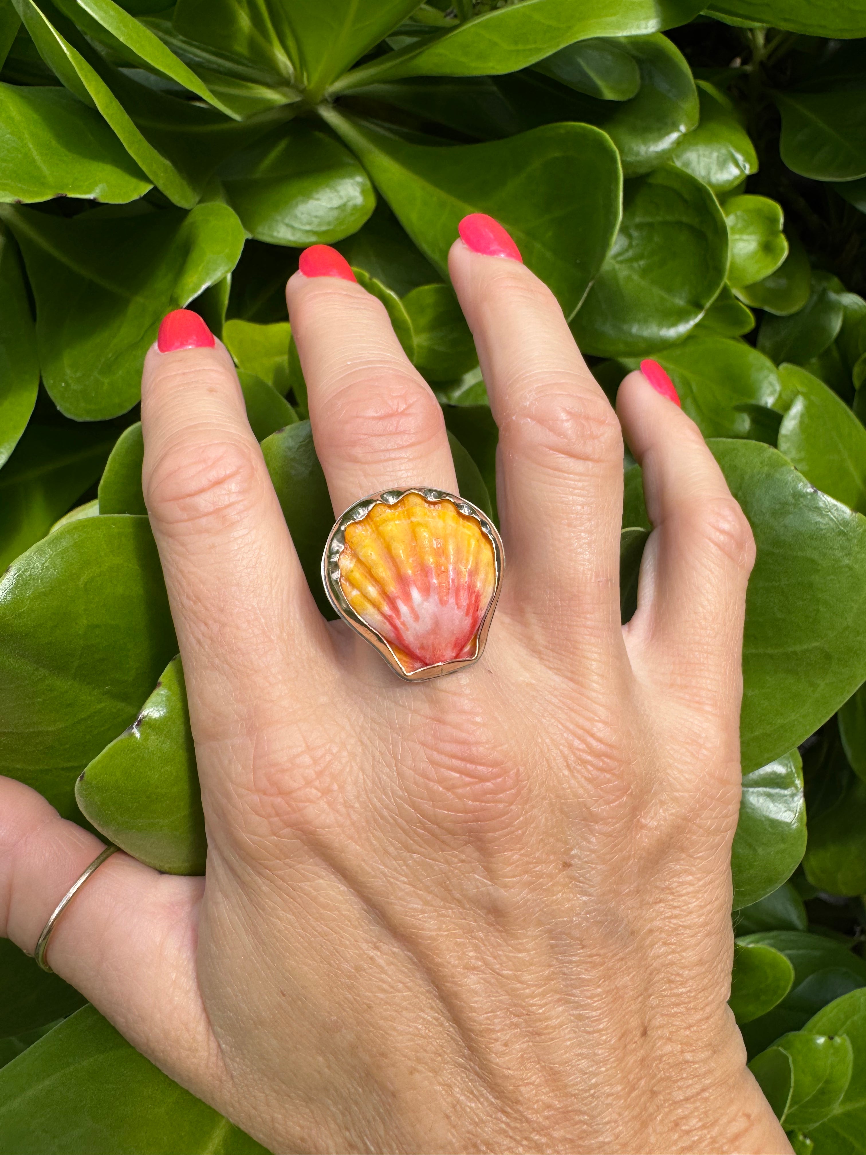 Tropical Gangster - Sunrise Shell Bezeled Ring