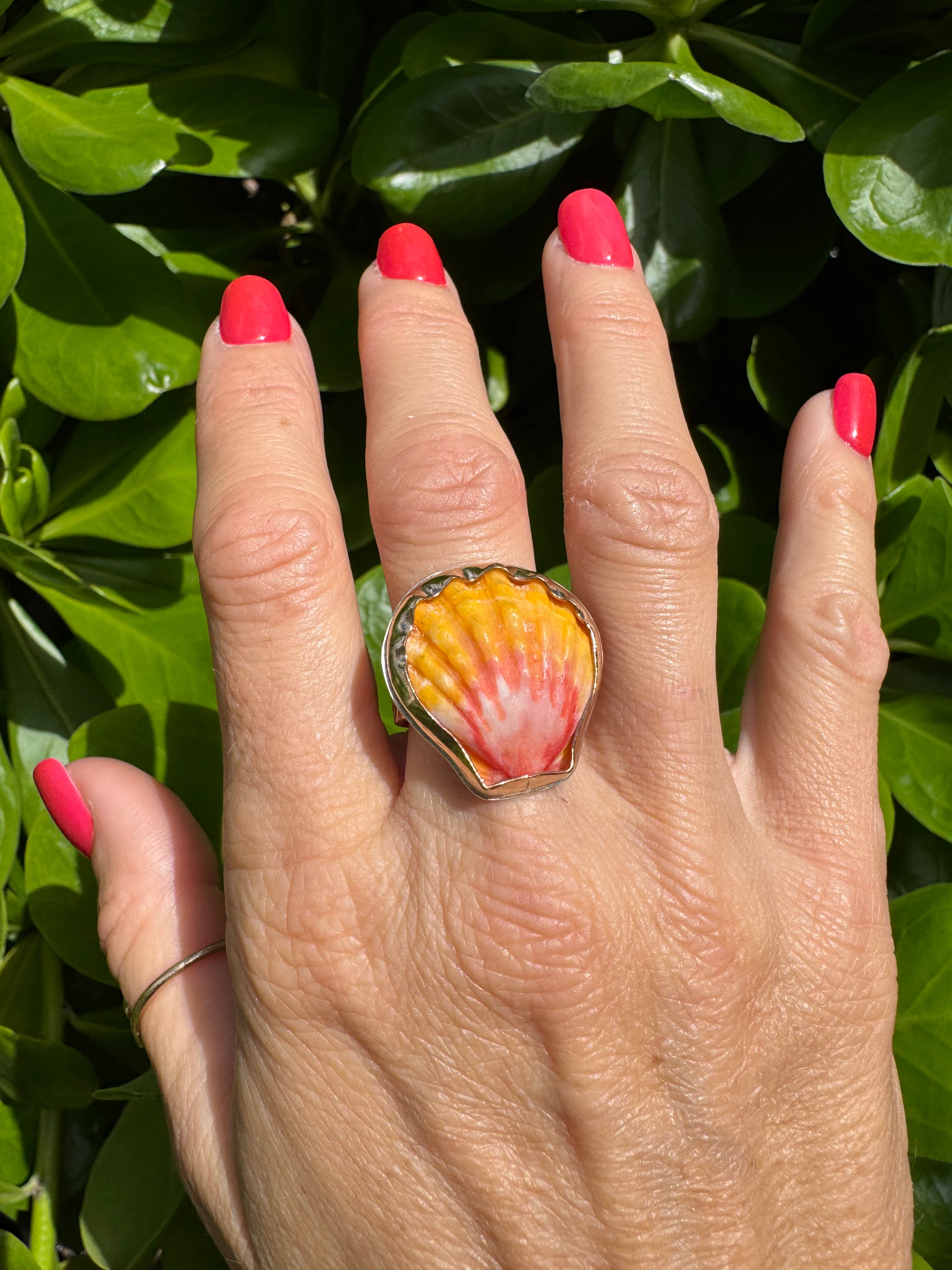 Tropical Gangster - Sunrise Shell Bezeled Ring