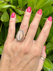 Tropical Gangster - Cowrie Bezeled Ring