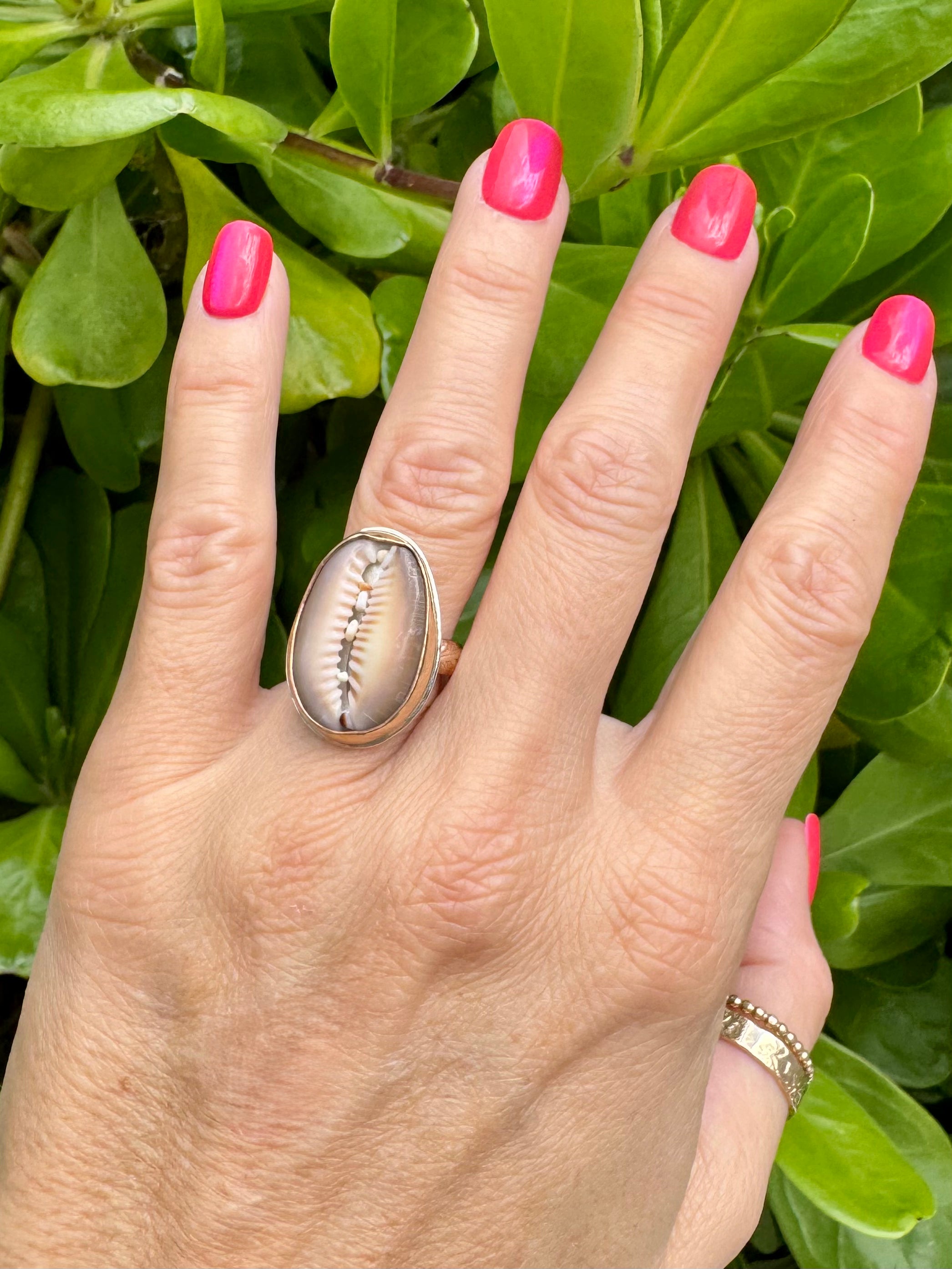 Tropical Gangster - Cowrie Bezeled Ring