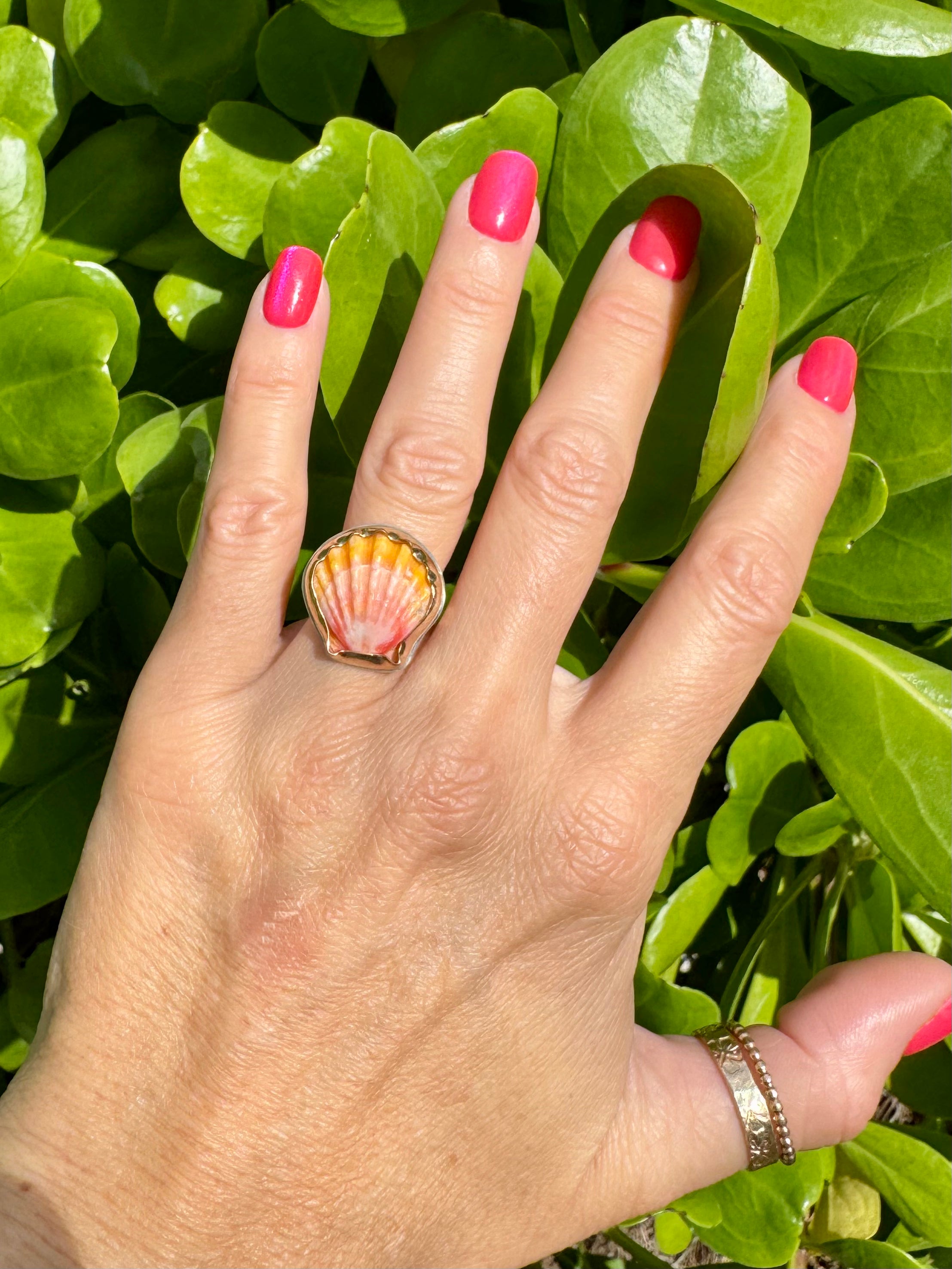 Tropical Gangster - Mini Sunrise Shell Bezeled Ring