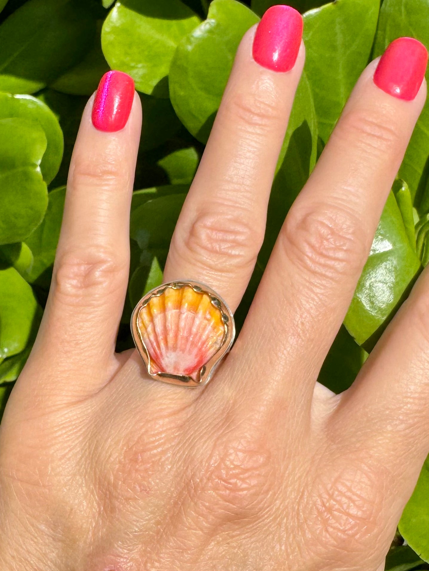 Tropical Gangster - Mini Sunrise Shell Bezeled Ring