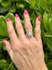 Tropical Gangster - White Opihi Bezeled Ring