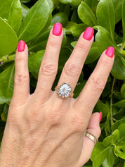 Tropical Gangster - White Opihi Bezeled Ring