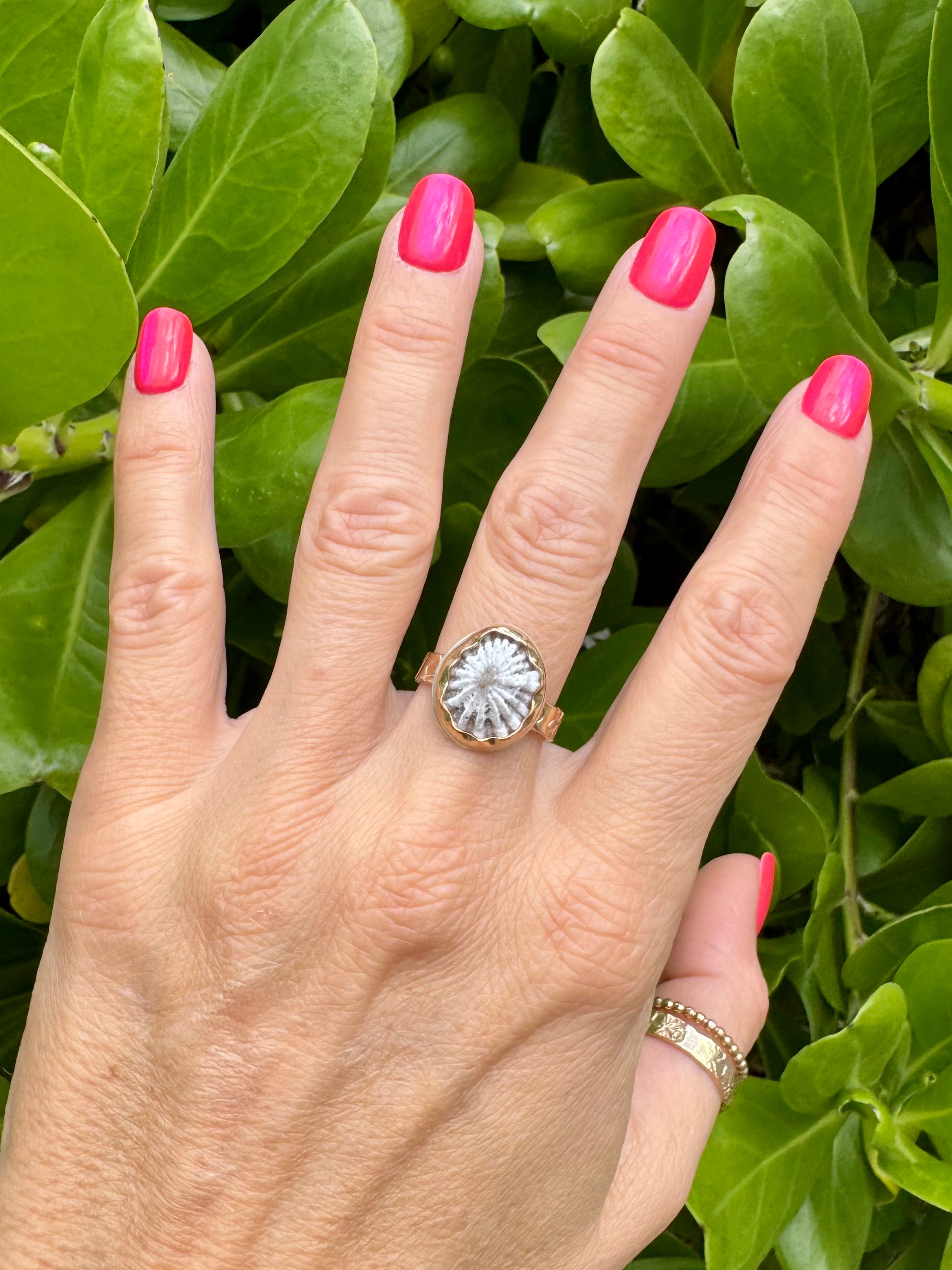 Tropical Gangster - White Opihi Bezeled Ring