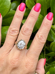 Tropical Gangster - White Opihi Bezeled Ring