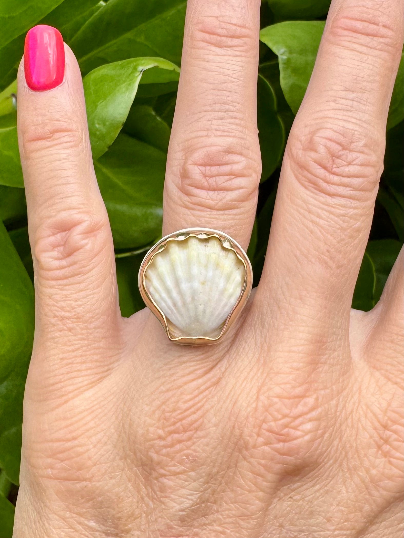 Tropical Gangster - Mini Albino Sunrise Shell Bezeled Ring