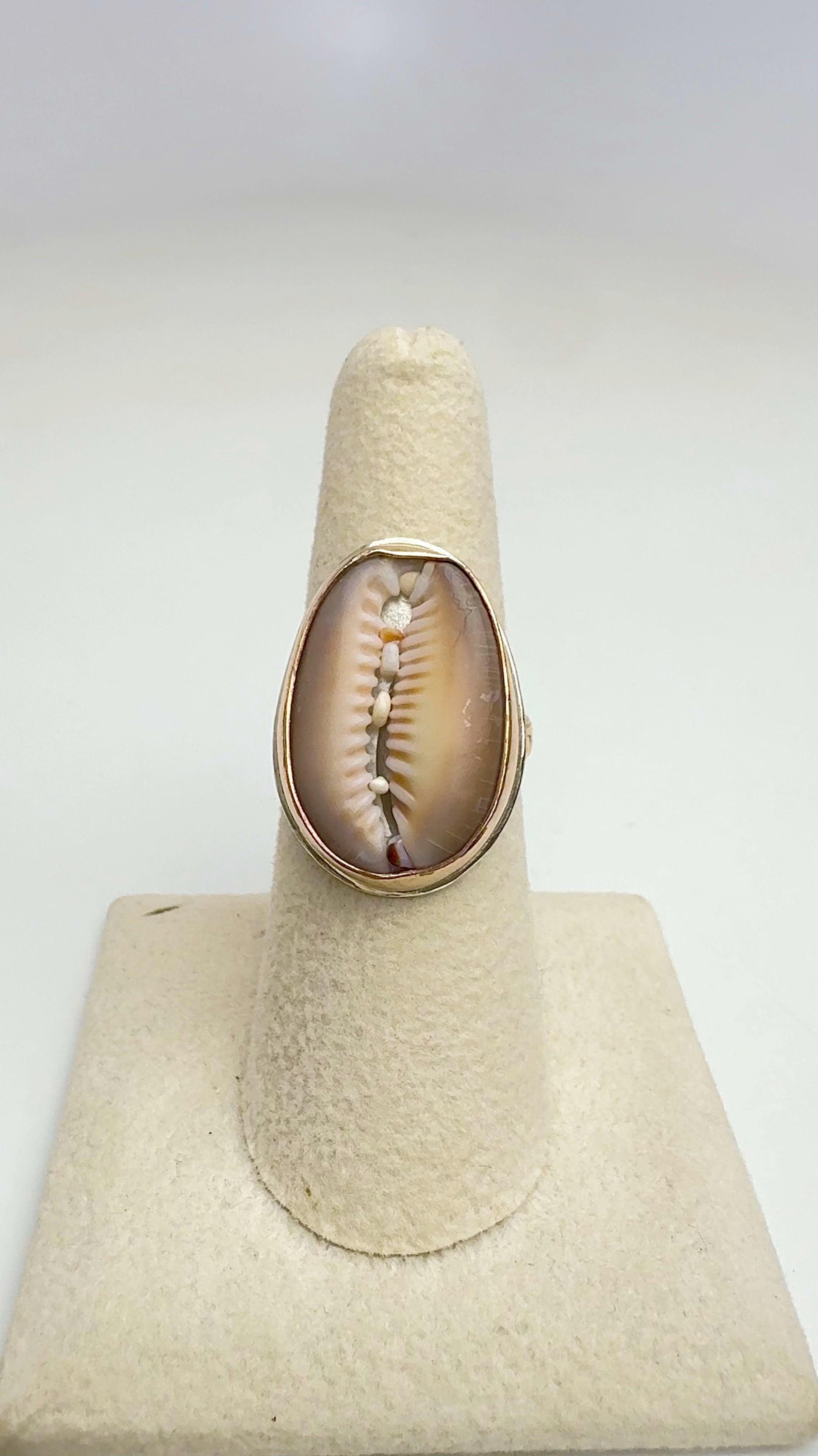 Tropical Gangster - Cowrie Bezeled Ring