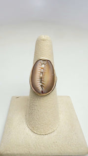 Tropical Gangster - Cowrie Bezeled Ring