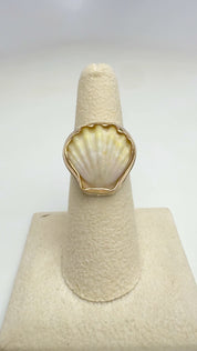 Tropical Gangster - Mini Albino Sunrise Shell Bezeled Ring