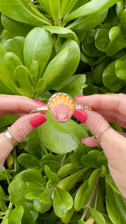 Tropical Gangster - Sunrise Shell Bezeled Cuff Bracelet