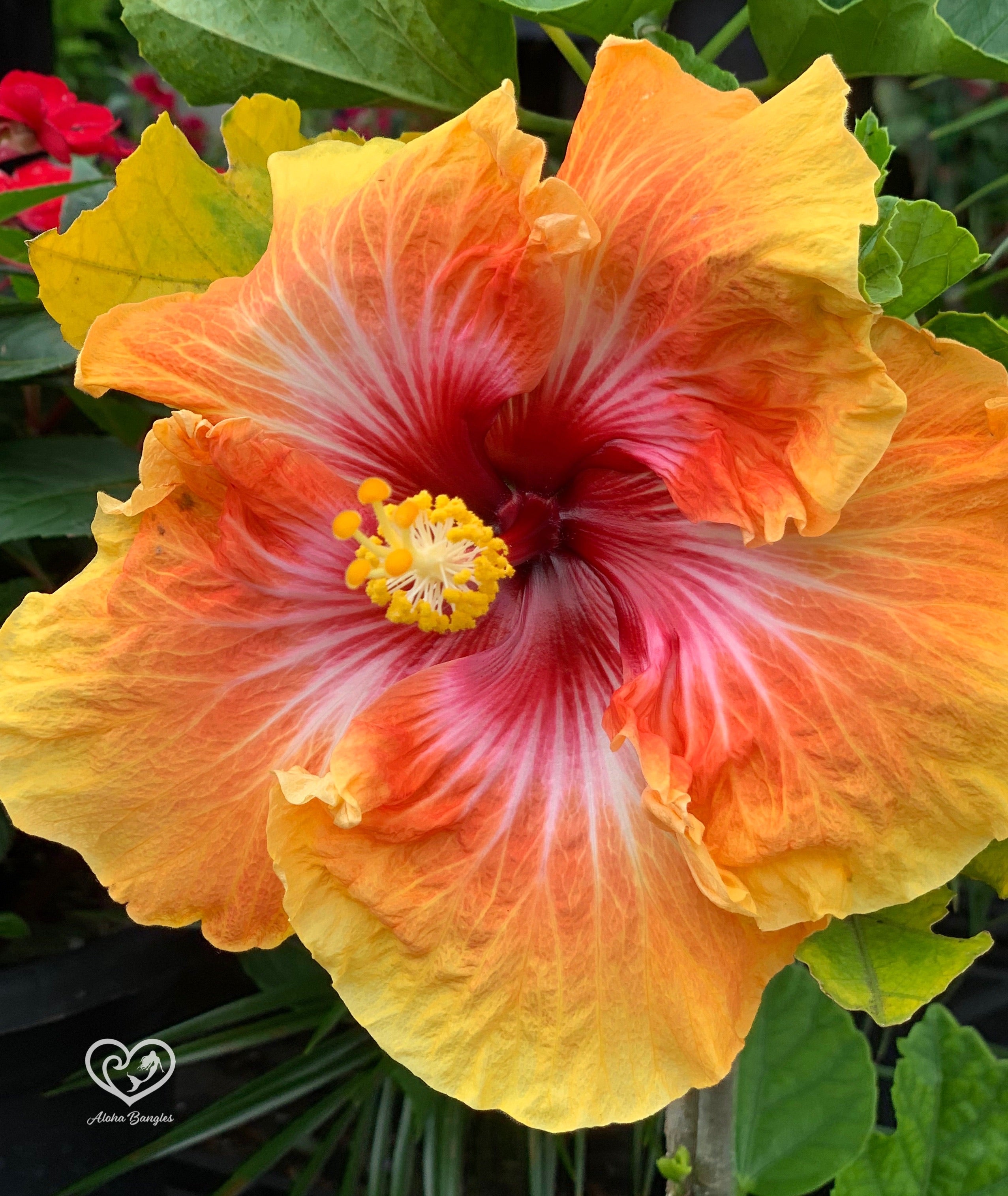 Aloha Bangles Hibiscus Signature Bangle Bracelet