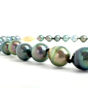 Tahitian Pearl Strand