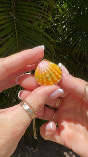 Sunrise Shell Bezel Necklace With Tropical Jungle Engraving