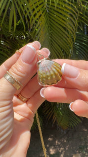 Moonrise Shell Bezel Necklace With Tropical Jungle Engraving