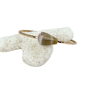 7.25" Hawaiian Cone Shell Bangle