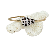 8" Hebrew Cone Shell Bangle