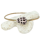 9" Hebrew Cone Shell Bangle