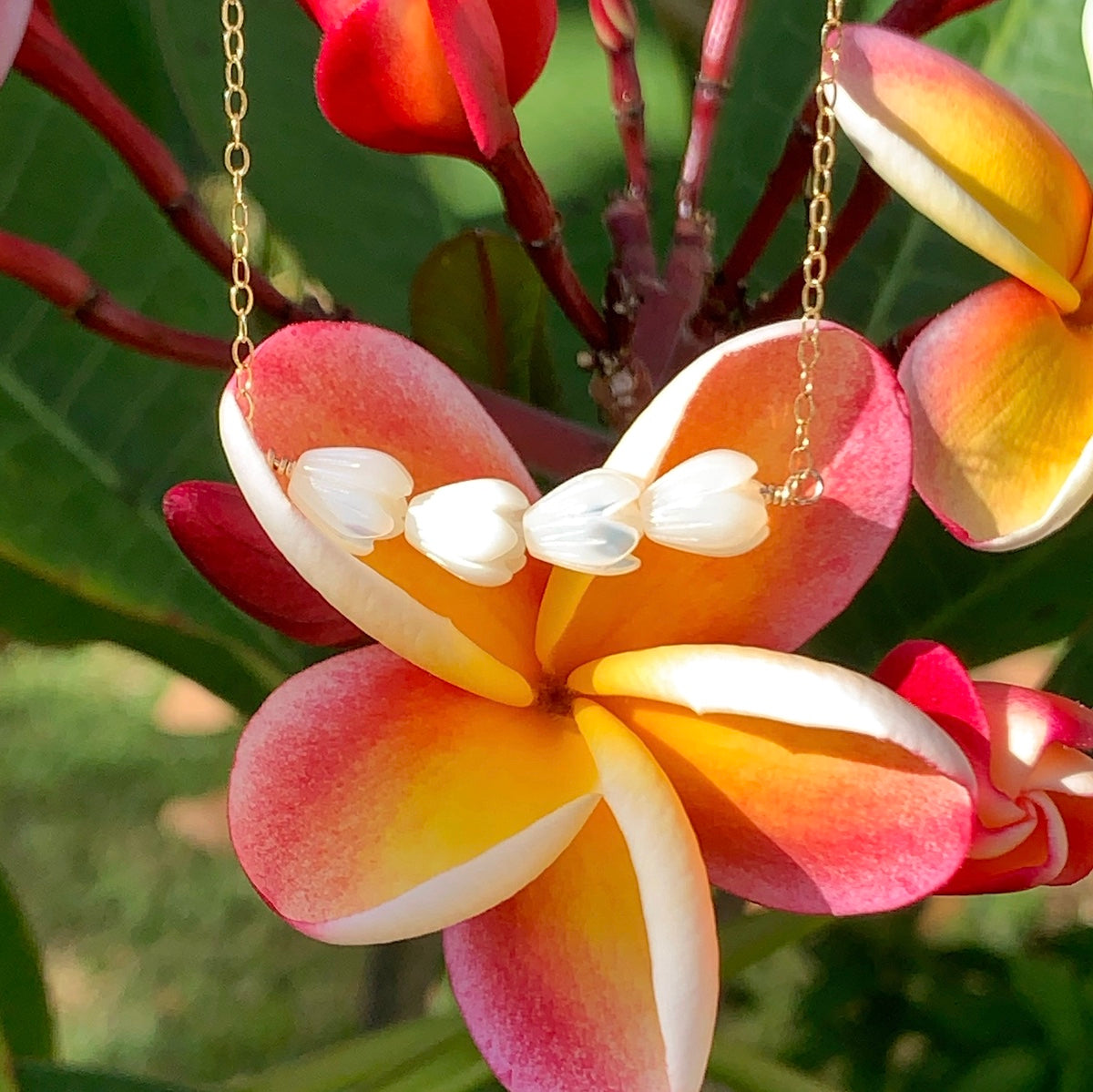 Pikake Lei Necklace