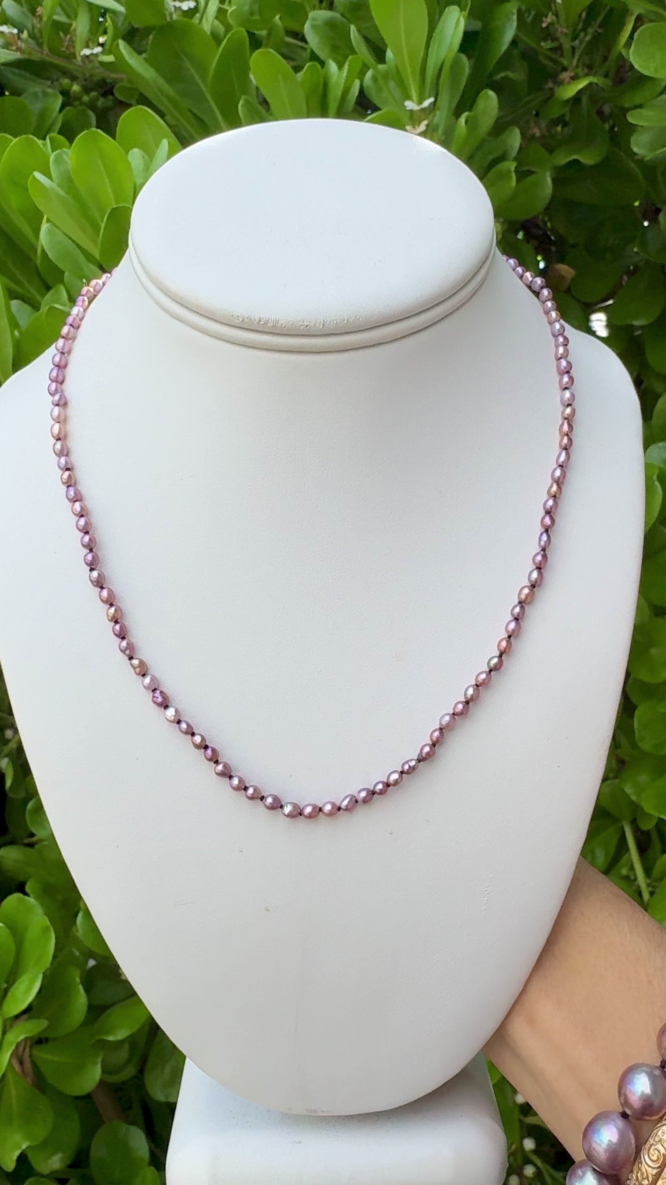 Rare Monarch Iridecent Pink Edison Pearl Strand 18"