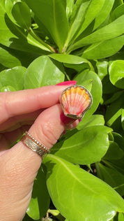 Tropical Gangster - Mini Sunrise Shell Bezeled Ring