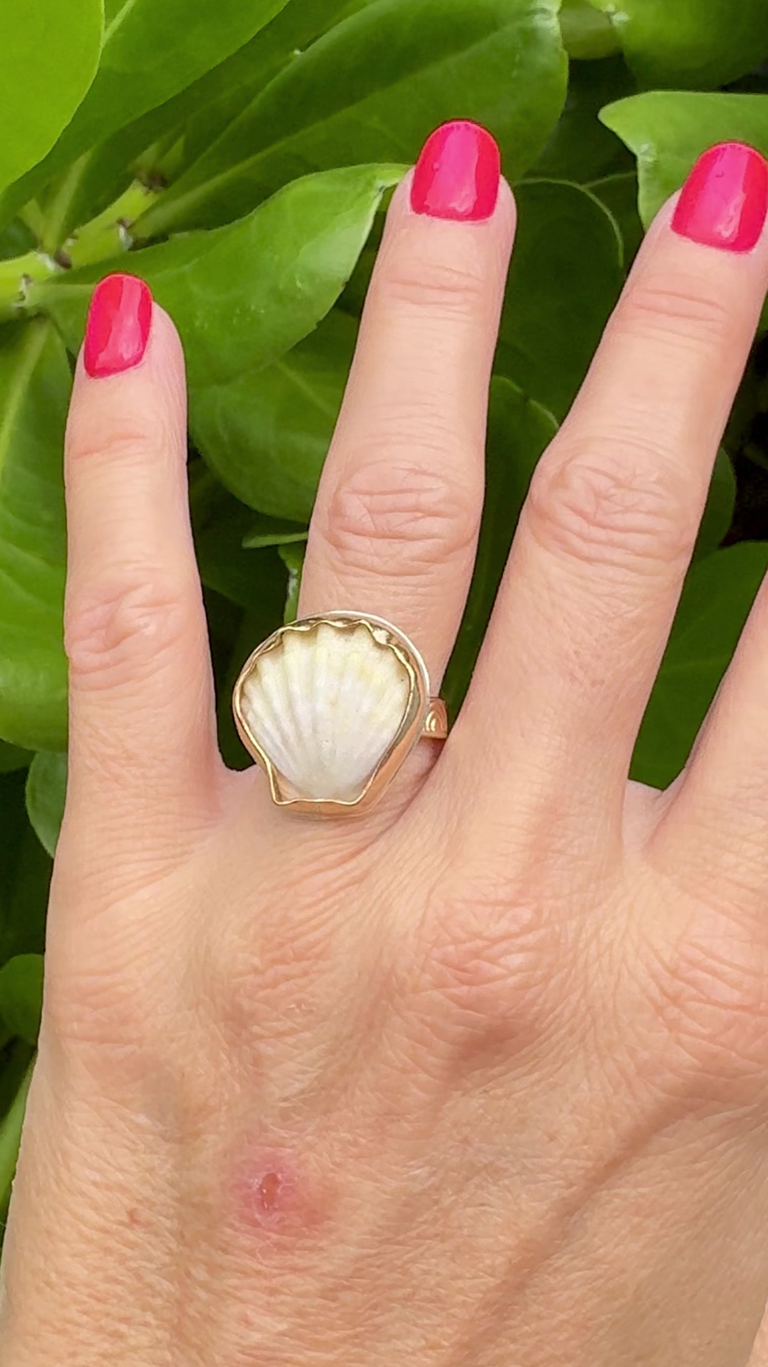 Tropical Gangster - Mini Albino Sunrise Shell Bezeled Ring