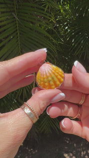 Sunrise Shell Bezel Necklace With Botanical Nu’uanu Engraving