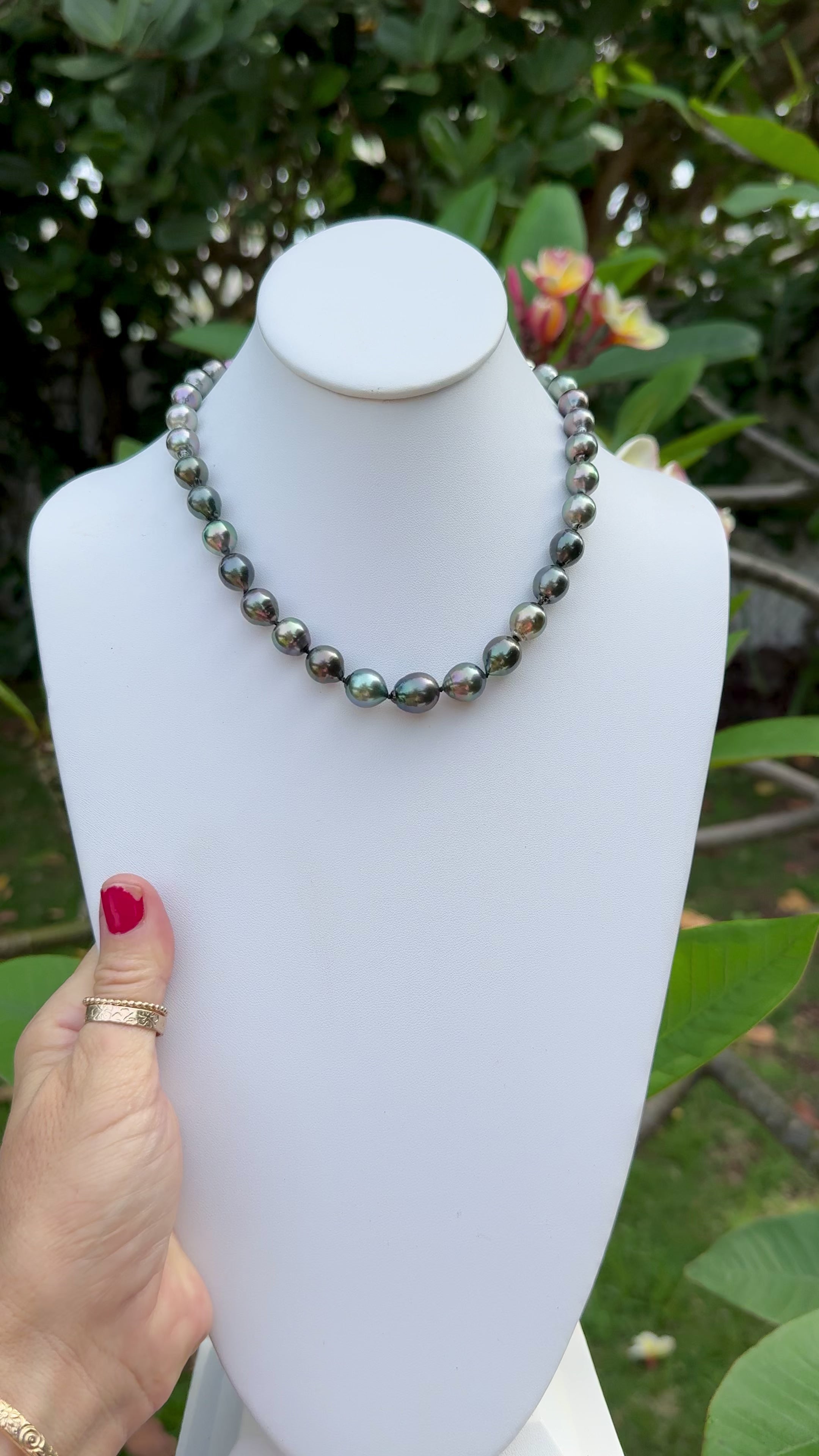 Tahitian Pearl Strand 17"