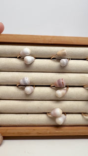 Hawaiian Cone Shell Ring - Ready to ship