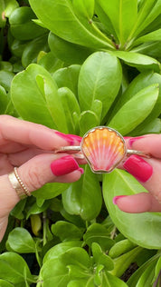Tropical Gangster - Sunrise Shell Bezeled Cuff Bracelet
