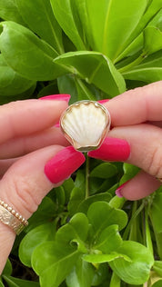 Tropical Gangster - Mini Albino Sunrise Shell Bezeled Ring