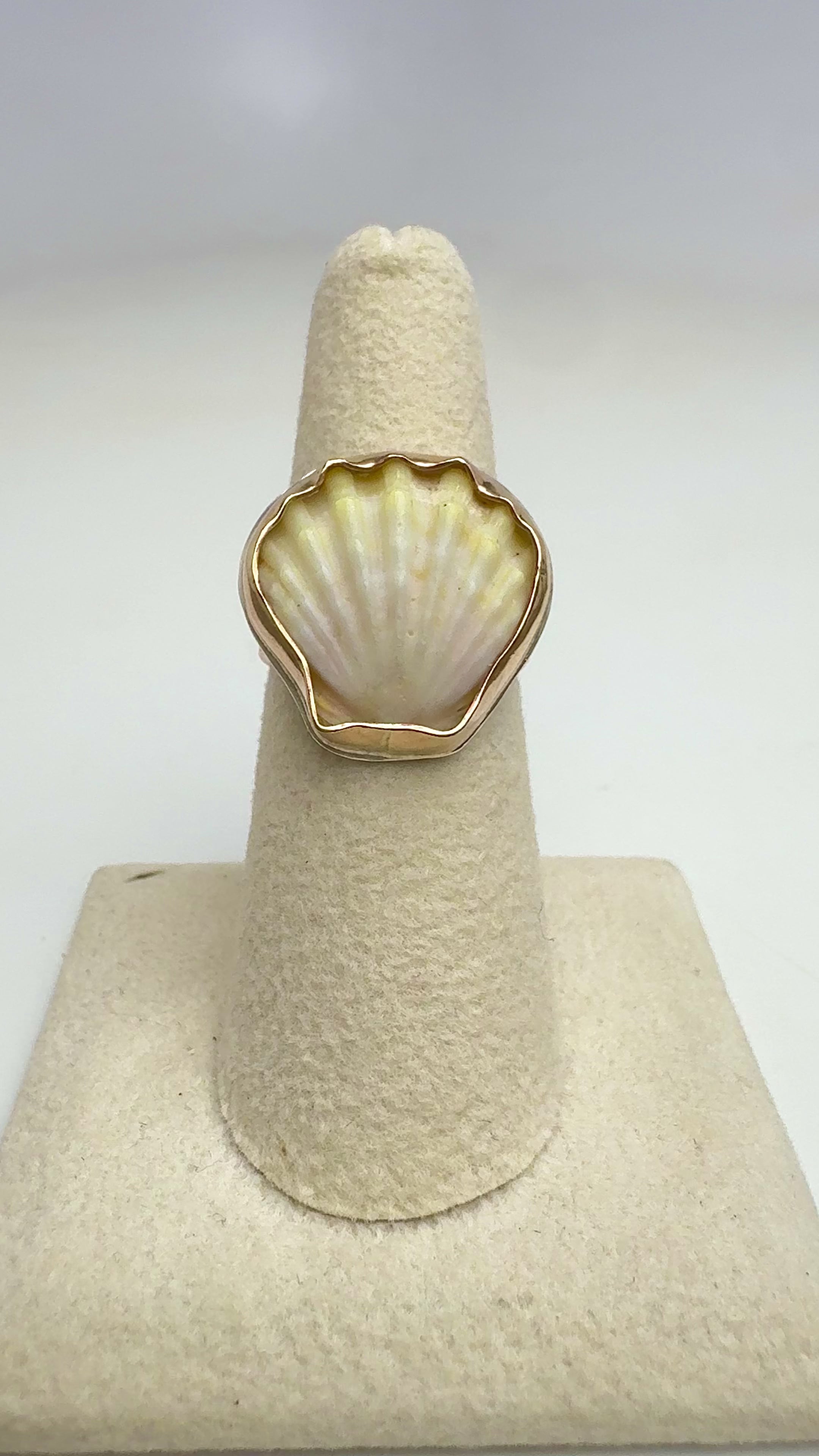 Tropical Gangster - Mini Albino Sunrise Shell Bezeled Ring