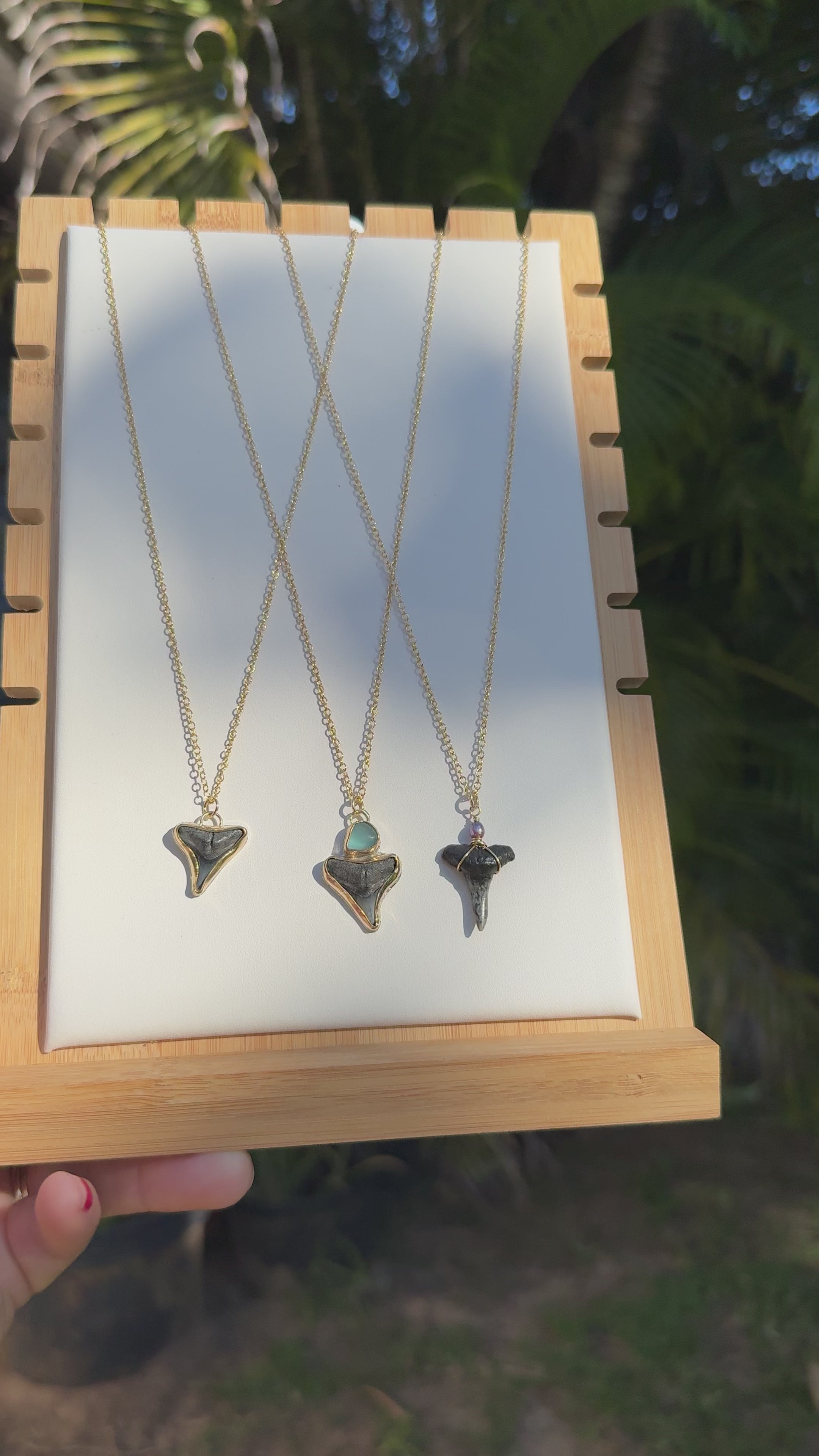Shark Teeth Necklaces