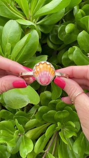 Tropical Gangster - Sunrise Shell Bezeled Cuff Bracelet