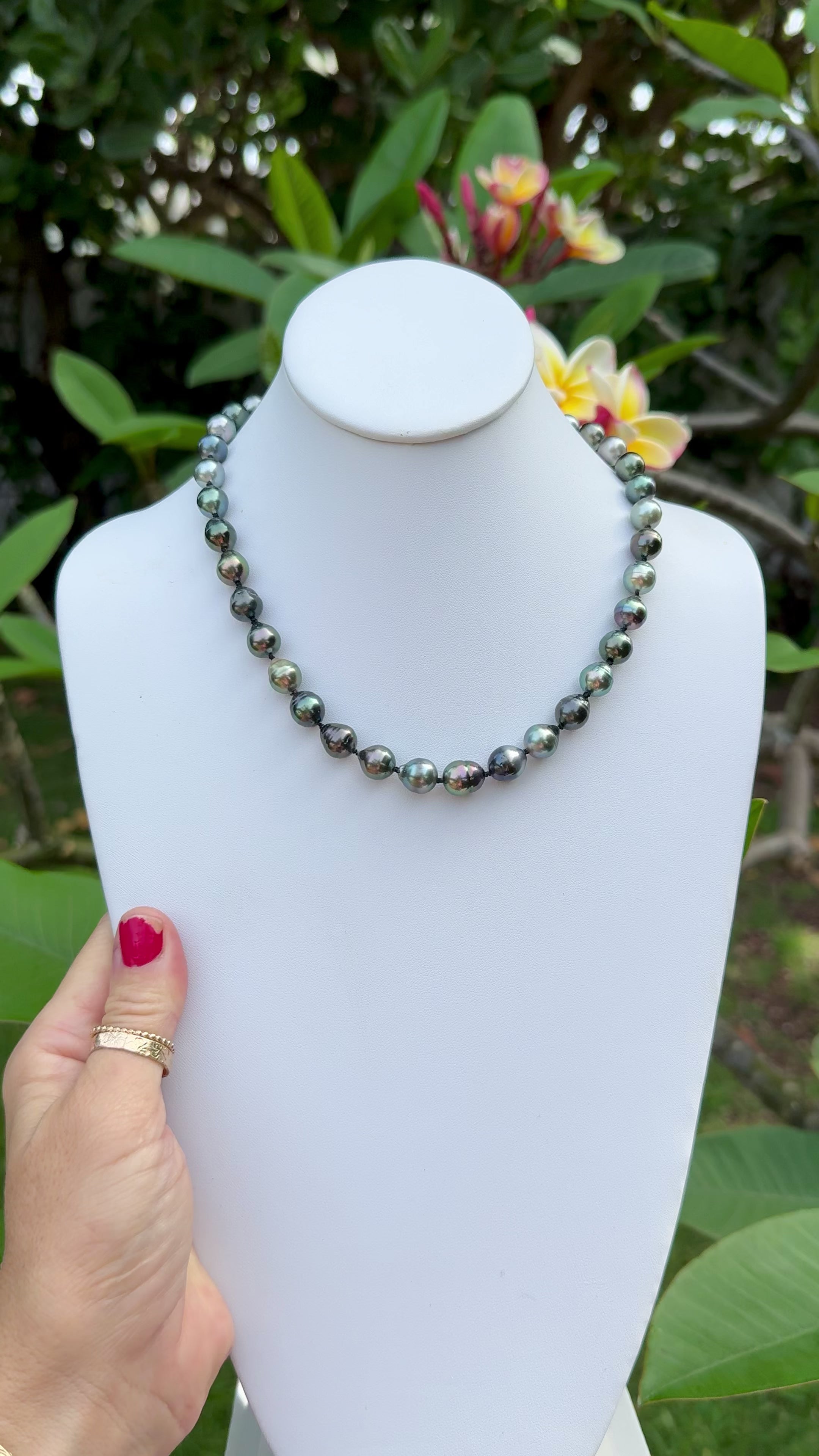 Tahitian Pearl Strand 18"