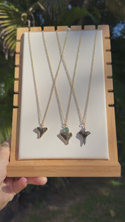 Shark Teeth Necklaces