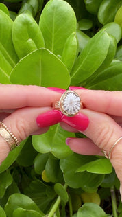 Tropical Gangster - White Opihi Bezeled Ring