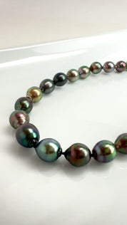 Tahitian Pearl Strand 17"