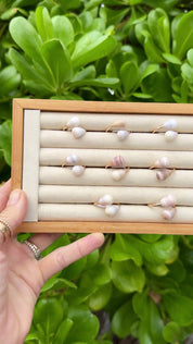 Hawaiian Cone Shell Ring - Ready to ship