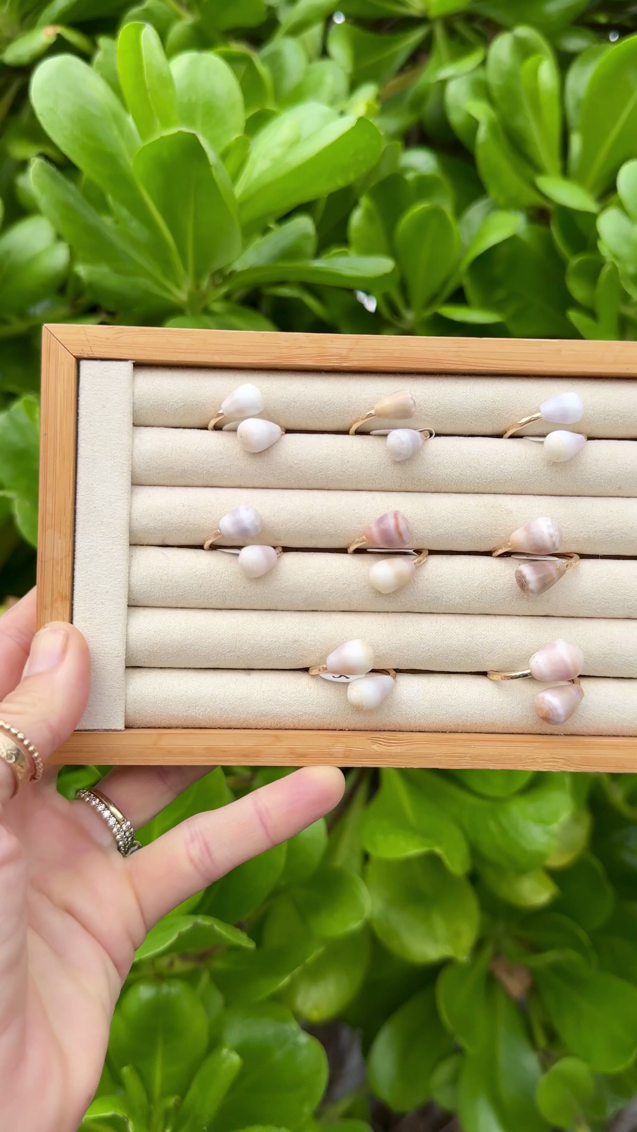 Hawaiian Cone Shell Ring - Ready to ship