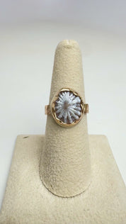 Tropical Gangster - White Opihi Bezeled Ring