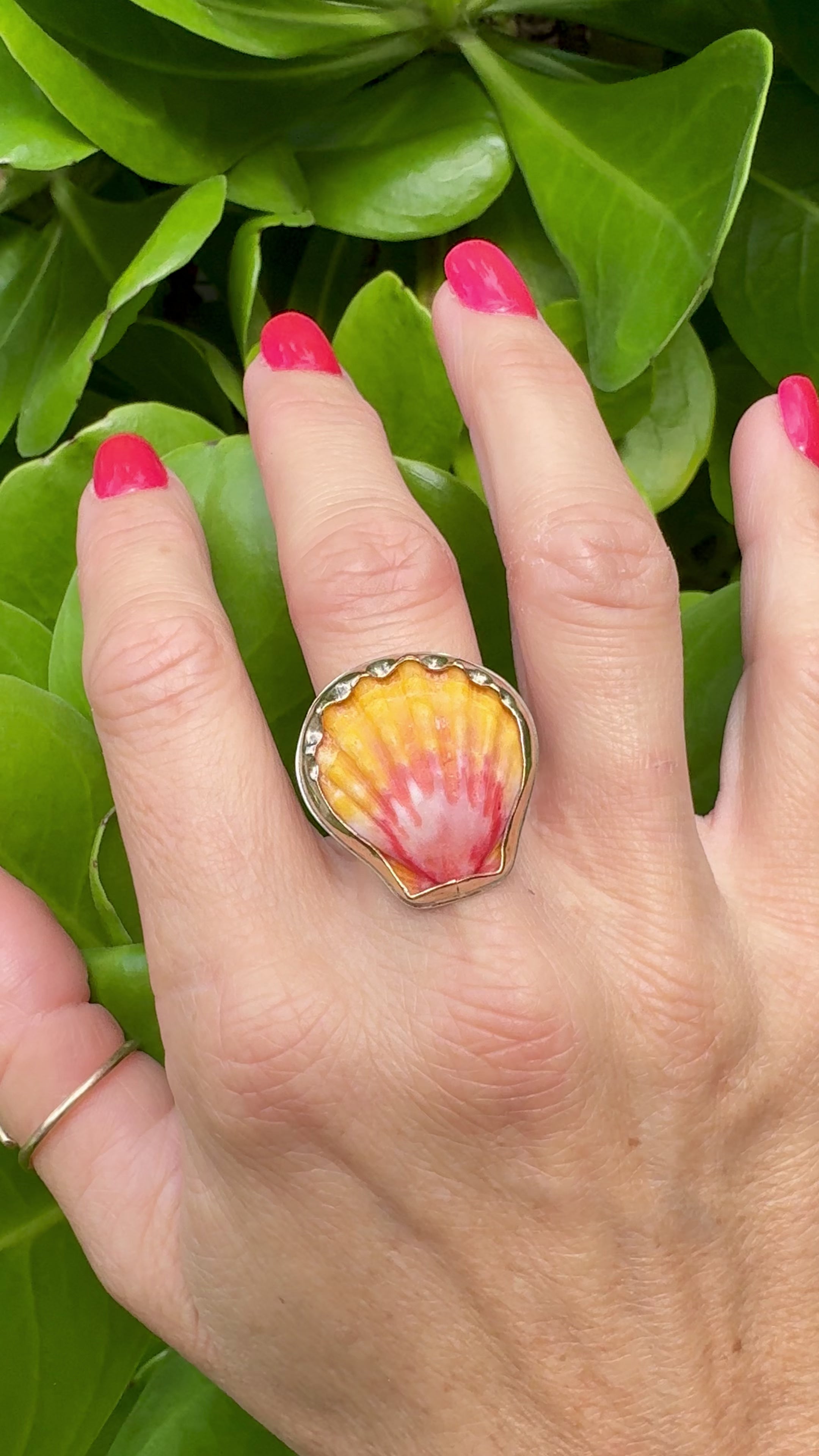 Tropical Gangster - Sunrise Shell Bezeled Ring
