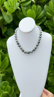Tahitian Pearl Strand 17"