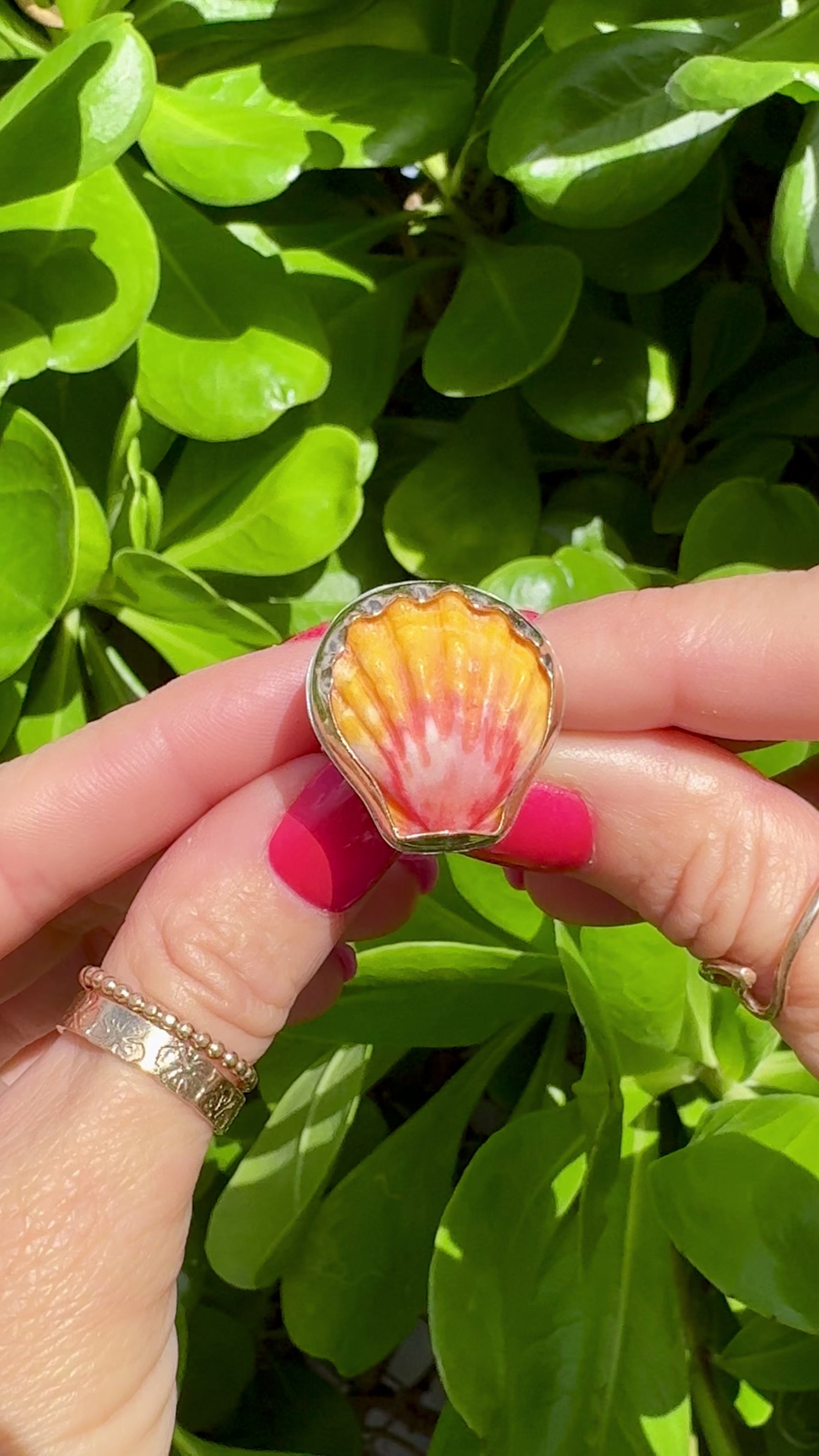 Tropical Gangster - Sunrise Shell Bezeled Ring