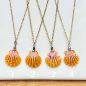 Mermaid Sunrise Shell Necklace with Tahitian Pearls & Akoya Pearls